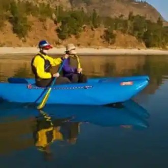 Two people kayaking on calm water near a wooded shore.
